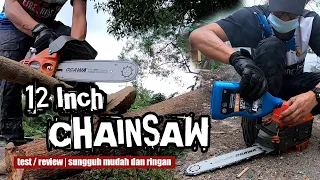 12 inch Chainsaw Test/Review