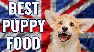 BEST PUPPY FOODS UK - Best Kibble Brands 2024 🇬🇧