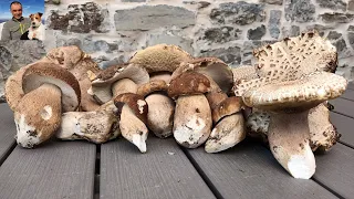 Beautiful porcini mushrooms collected in the park of the hundred lakes - July 2023