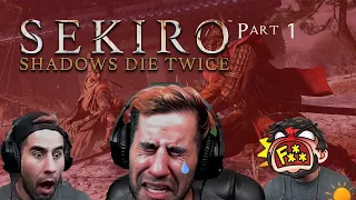 Chat makes streamer cry while dying to Lady Butterfly in Sekiro