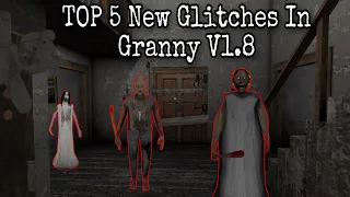 Top 5 New Insane Glitches in Granny Version 1.8