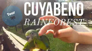 CUYABENO AMAZON TOUR  TIPS  / Things to do Ecuador - ECUADORIAN RAINFOREST