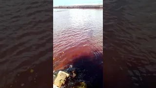 last day water turning blood