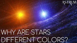 What Makes Stars So Different From Each Other?