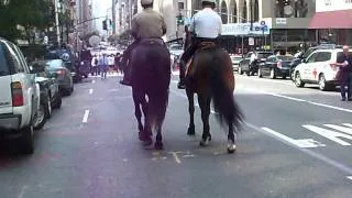 New York City up-close - mounted police on Fifth Avenue