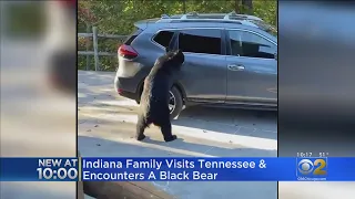 Indiana Family Visits Tennessee, Has Very Close Encounter With Bear