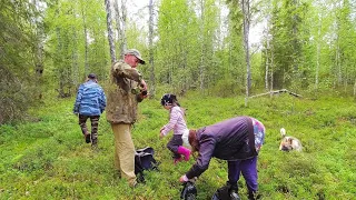 ЖИВЁМ В ГЛУХОЙ ТАЙГЕ И ЕДИМ ЧТО ПРИРОДА ДАЛА / ПОЕХАЛИ НА КАРАКАТЕ ВСЕЙ СЕМЬЁЙ ЗА ЯГОДАМИ.