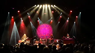 Gov't Mule - Live @ Alkmaar 2019