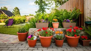 Отличные идеи для создания стильного сада / Original ideas for creating a beautiful and cozy garden