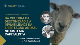 A cultura da desconexão e a inviabilidade da libertação animal no sistema capitalista