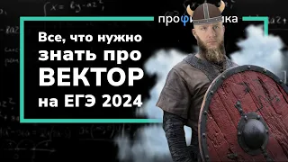 Всё о векторе для ЕГЭ 2024