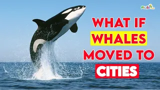 WHAT IF :: Whales moved to Cities?