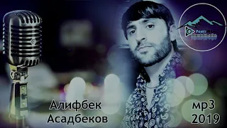 Алифбек Асадбеков - мот туям кати цавад