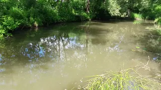 Бешеные гонки на супер катерах по великой реке Лутосне.