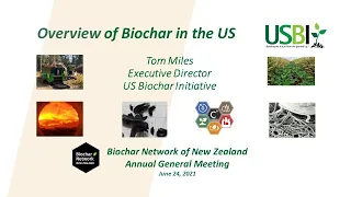 Biochar in the US: Status and Prospects