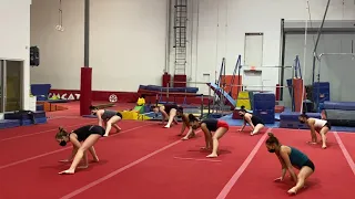 Gymcats stretch to Queen's "Another one bites the dust"