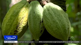 Nigeria aims to ramp up cocoa production amid global shortages