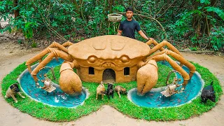 Rescue Abandoned Puppies living in Crab House build aquarium Fish Pond around Dog house