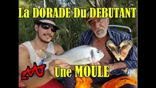 Comment pêcher la Dorade a la Moule, la technique des anciens.