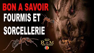 BON A SAVOIR, FOURMIS ET SORCELLERIE