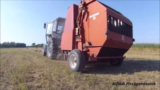 Széna Bálázás 2017 ( MTZ 82 & Hesston M1300 )