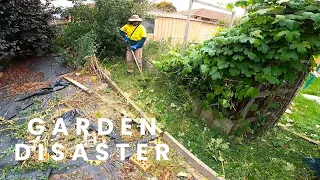 This is what happens when you are UNABLE to maintain your garden | Transformation!