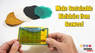 Making Sustainable Biofabrics from Seaweed | Science Project