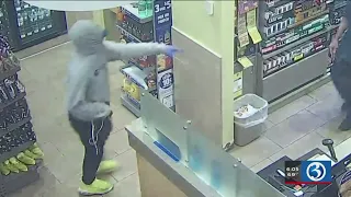 Video: Police K9 catches three-time Wolcott armed robbery suspect