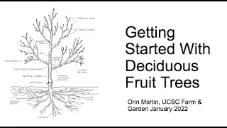 Getting Started with Fruit Trees 2022