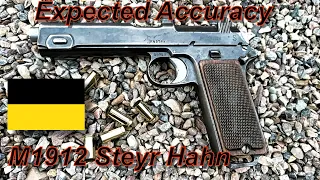 M1912 Steyr Hahn Expected Accuracy