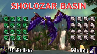 Mining and Herbalism in Sholozar Basin #warmane  #wotlk