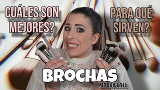 BROCHAS y PINCELES de MAQUILLAJE! Para qué sirven? Cuales comprar? Guía completa y recomendaciones!💜