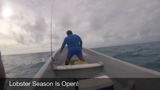 Lobster Fishing in Belize - Unique Airbnb Experience