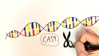 CRISPR - what, how and why?