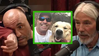 Joe Rogan Crying: Emotional about his dog dying, Coyote vs. His Beloved Dog - Dan Flores JRE #1975