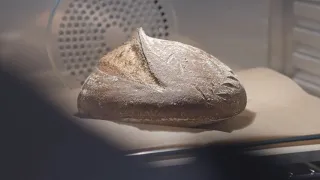 Sourdough Bread With The Anova Precision Oven