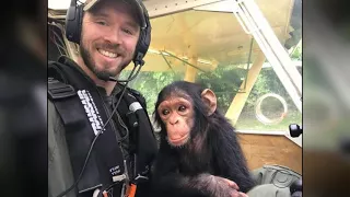 Pilot rescues baby chimpanzee from poachers in Africa