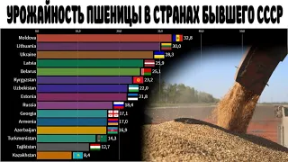 Урожайность пшеницы в странах бывшего СССР (СНГ, Прибалтика) | Рейтинг стран по урожаю з 1 га