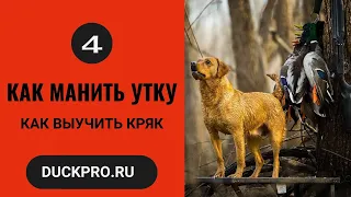 4.  Как манить утку. Охота с Бак Гарднер. Как выучить кряк. Русская озвучка.