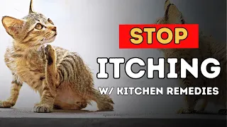 Kitchen Spice That Stops Itching