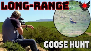 Long-Range Goose Hunt - Airgun