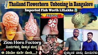 Thailand Flowerhorn Fish Worth 1.2 Lakhs Unboxing in Bangalore | Zion Hornfactory | ವಾಸ್ತು ಮೀನುಗಳು 🐳