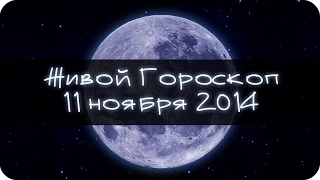 Смешная Зайка - гороскоп для БЛИЗНЕЦОВ ♊. + Очередной смешной прикол!