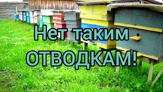 Отводки с которых не будет толку.