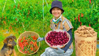 Full Video: Harvesting Chilli, Artichoke, Peanut Goes To Market Sell -  Farm, Cooking, Daily life