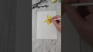 Narcis maľovaný akvarelom 🏵️💦 #artmie #arttutorial #aquarelle #watercolorpainting #narcissus #flower