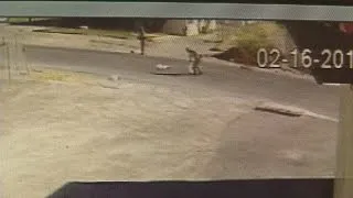 Surveillance video of dead cats in bag