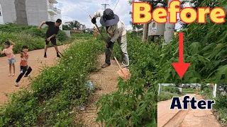 Volunteered to Clean up Overgrown Lawn Sidewalks with Rudimentary Tools. Video Satisfying ASMR