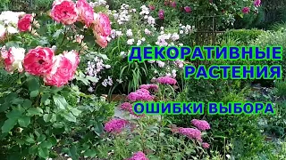 Экономное ведение дачного хозяйства. Ч.2. Декоративные растения.Ошибки выбора.