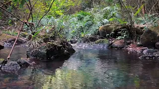 The Beautiful Sound Of Streams In The Maluan Hills Will Make You Fall Asleep Listening To It.